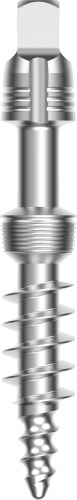 Basal Trifix Implant - Square Head details