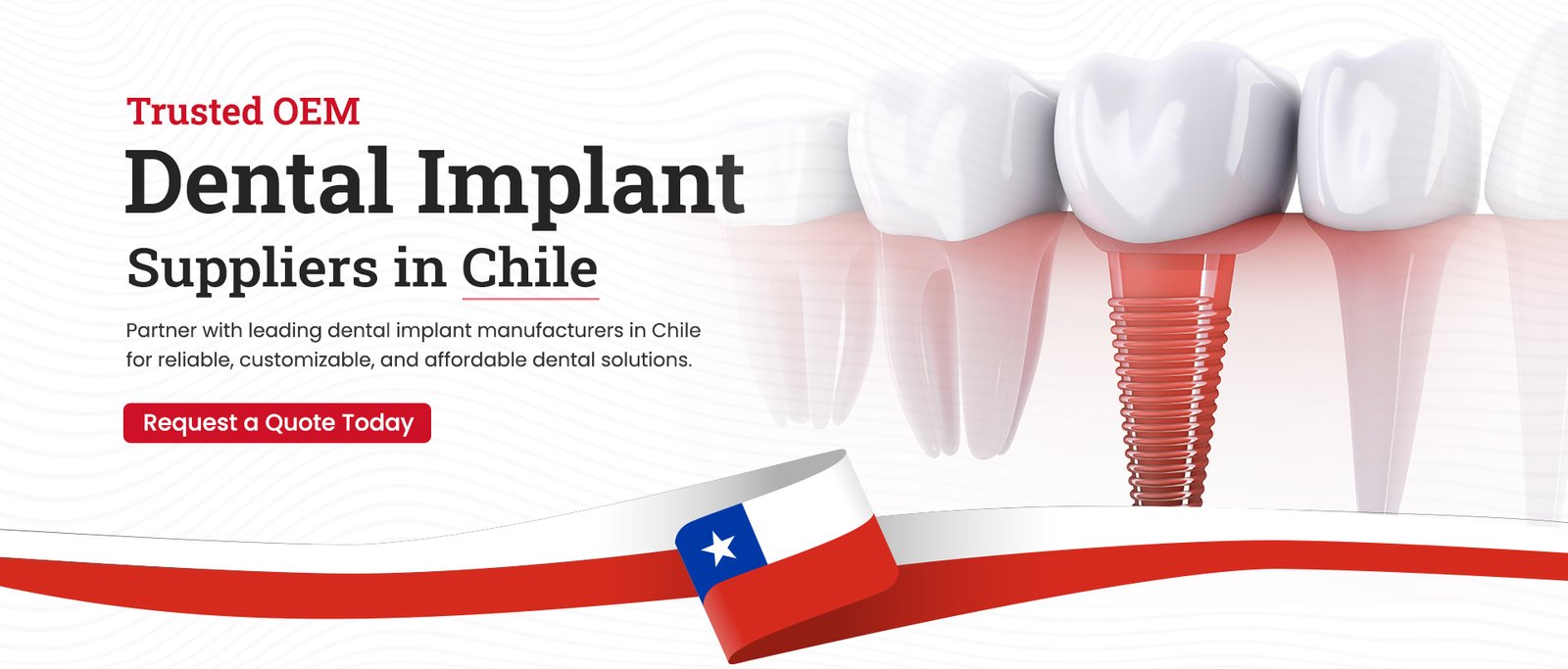 Chile Banner_3